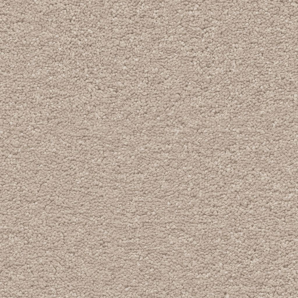 Orlando champagne 0030  | 400cm