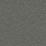 Orlando olifant 0120  | 400cm