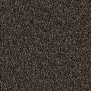 Jackson bruin 0600 | 400 cm