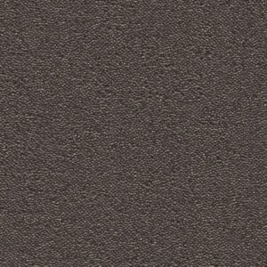 Charlotte donkergrijs 0101 | 400 cm