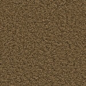 Newberry mosterd 0996 | 400 cm