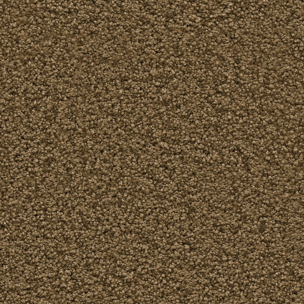 Newberry mosterd 0996 | 400 cm