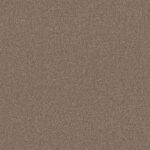 Nifty bruin 0600 | 400 cm