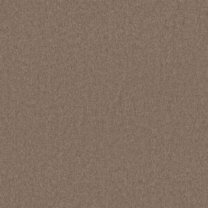 Nifty bruin 0600 | 400 cm