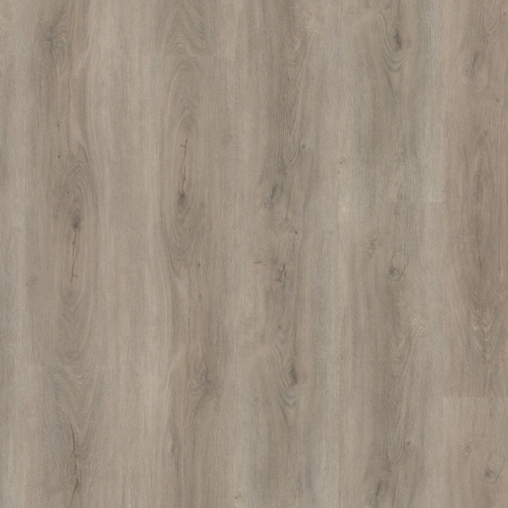 Robusto dryback light grey