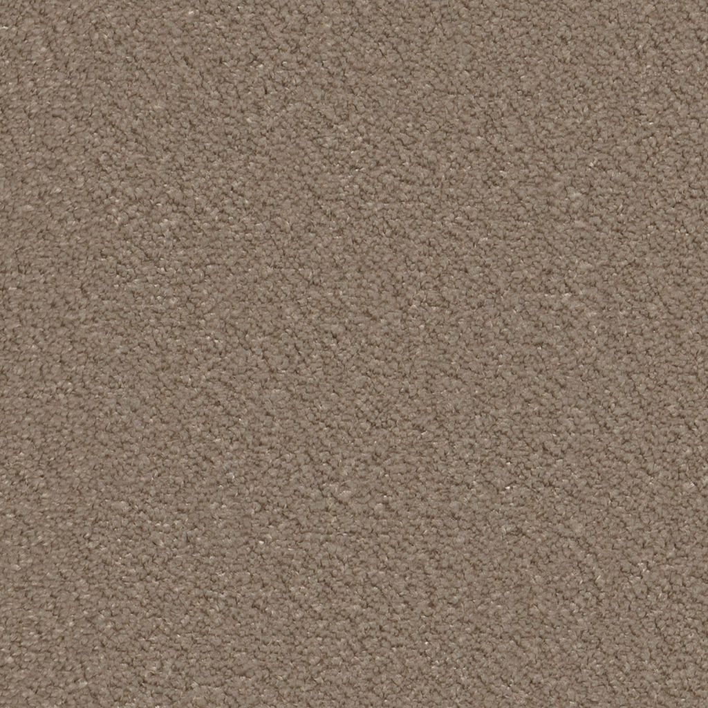 Lodi taupe 0535 | 400cm