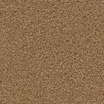 Traffic steppe 0495 | 400cm