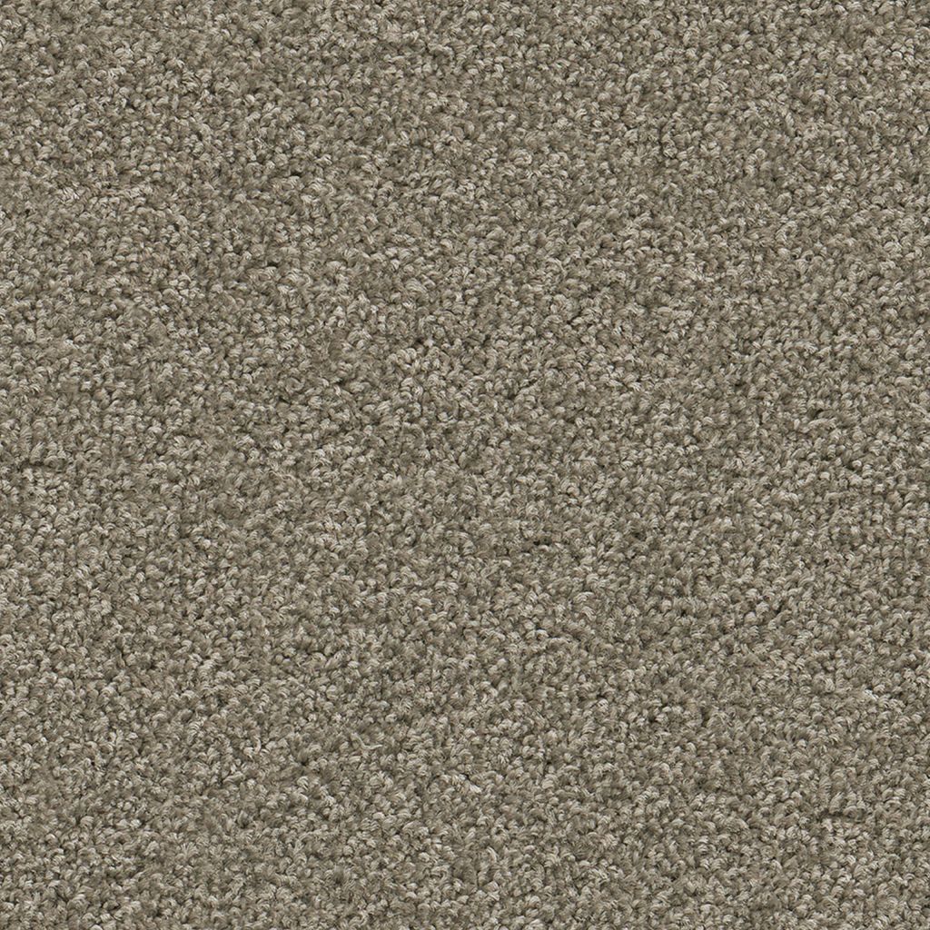 1520041043_main_image.jpg