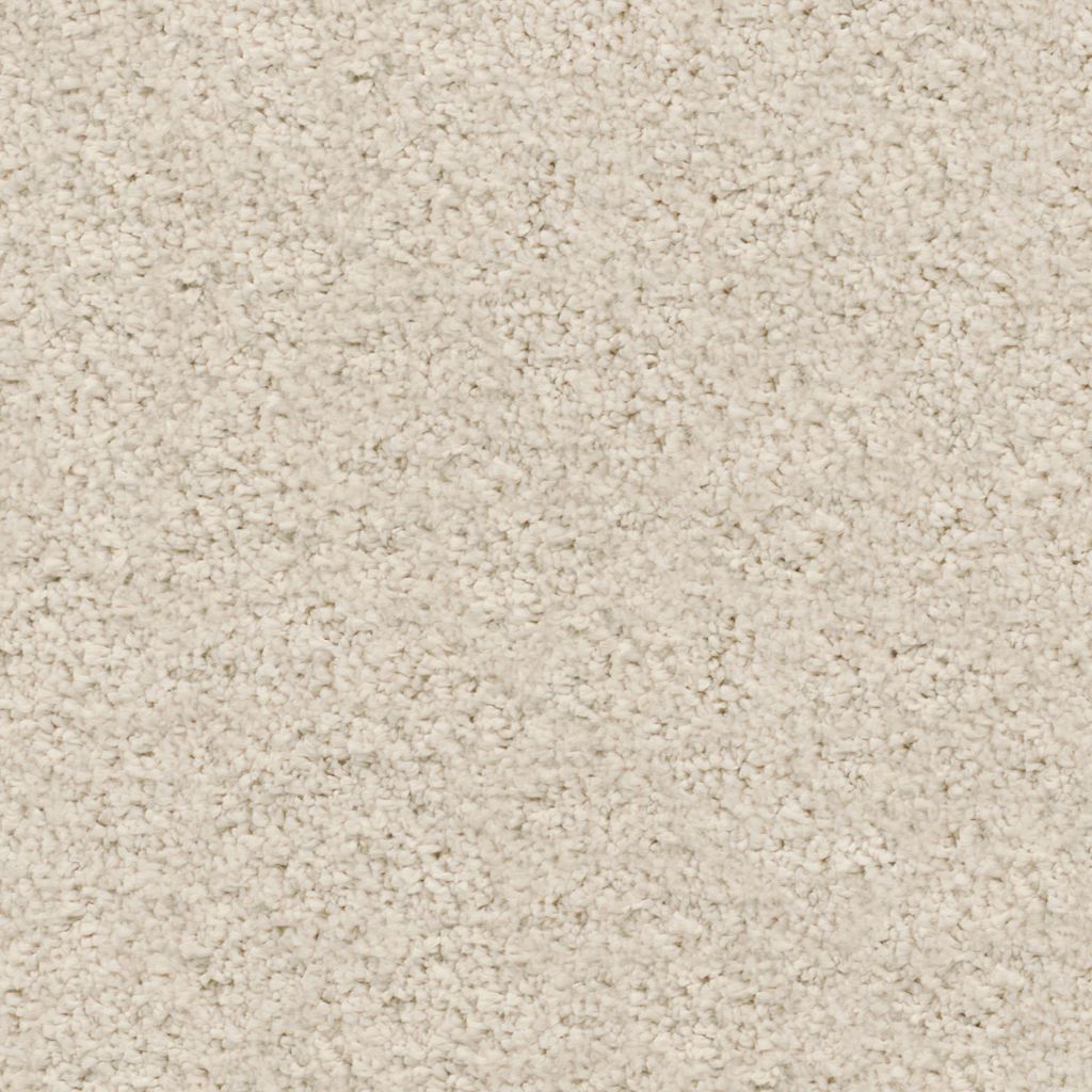 Amoroso champagne 0030 | 400cm