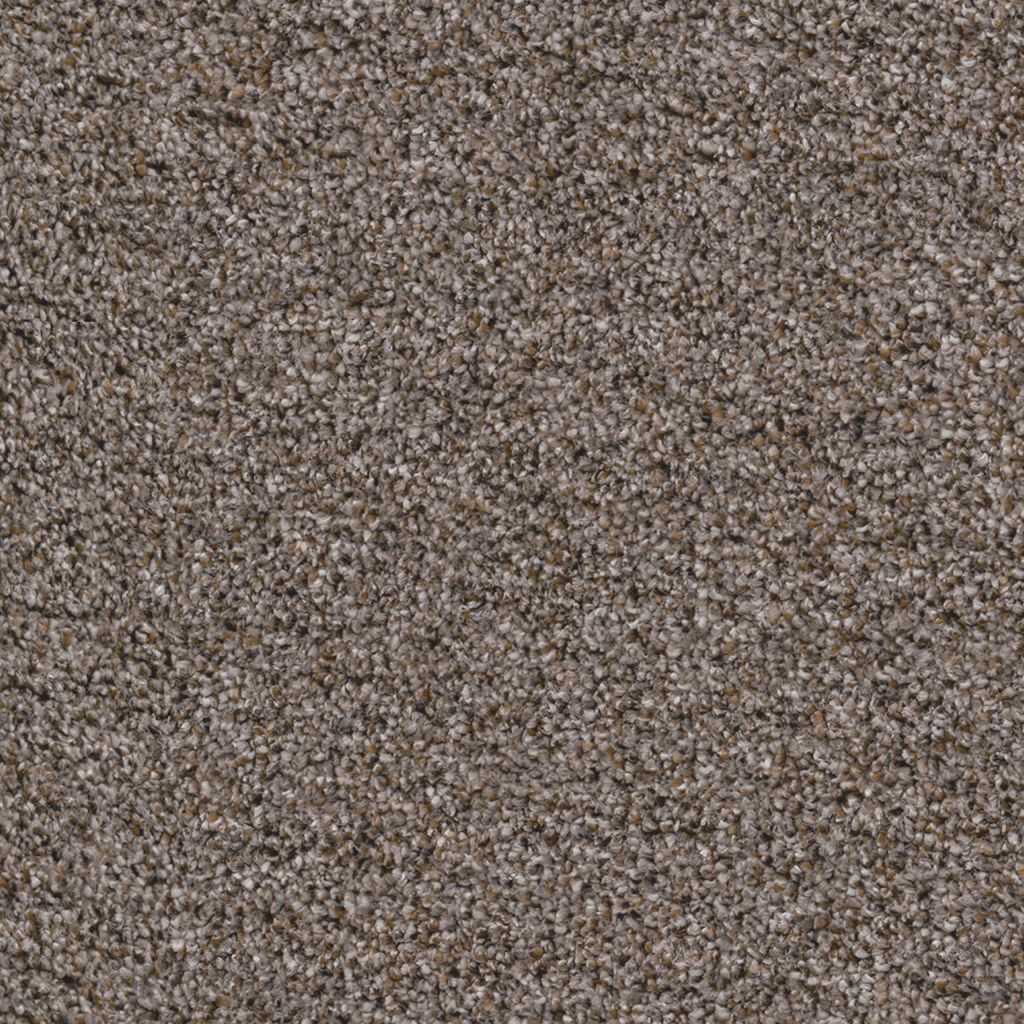 Baltimore hazelnoot 0465 | 400cm