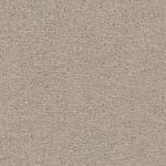 Charmant camel 0405  | 400cm