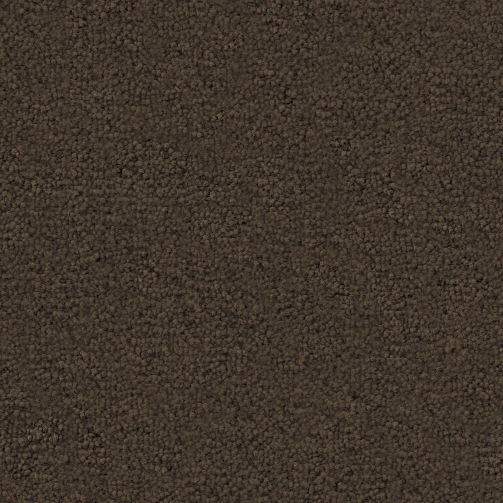 Charmant truffel 0660  | 400cm