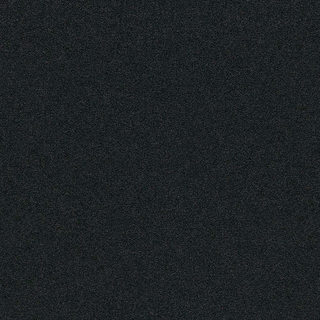 Entrance carbon 0246 | 200cm - incl. 2x2,5cm stootrand