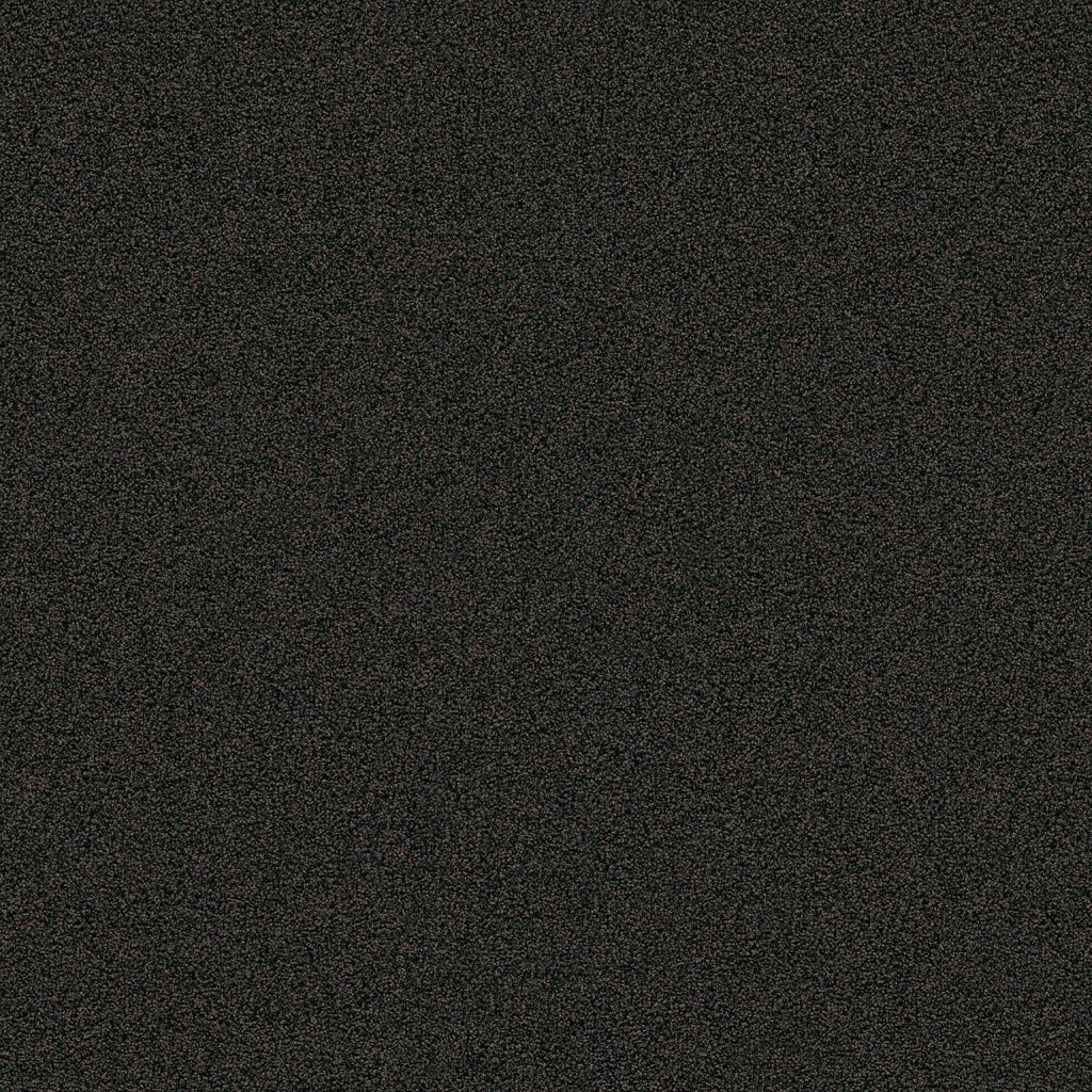 Entrance zwartbruin 0255  | 80x120cm