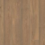 Saarland natuur eiken