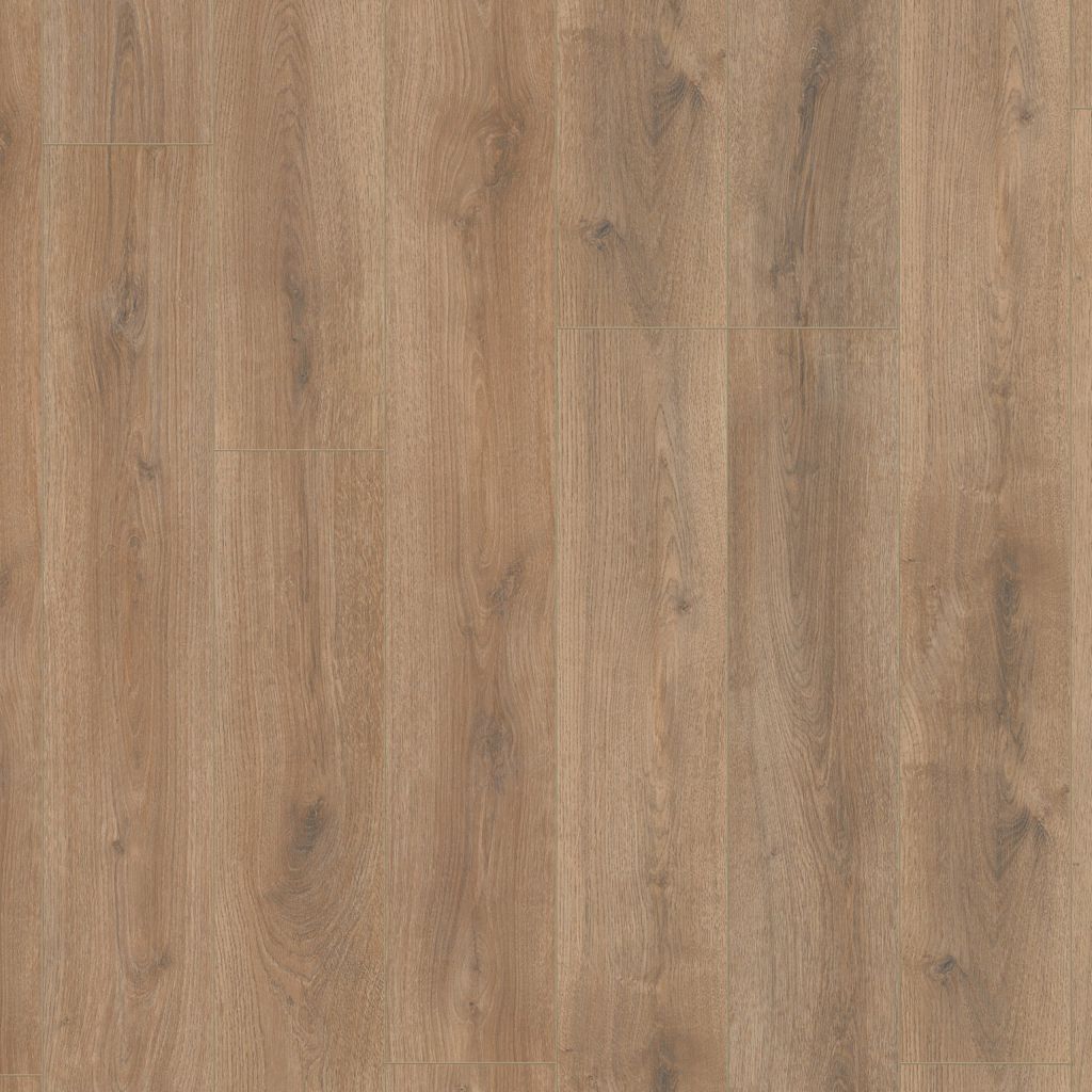Sunny oak natuur eiken