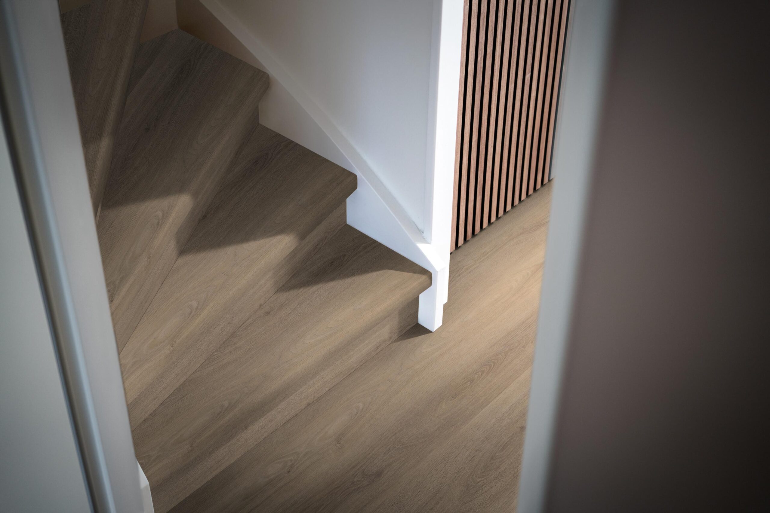 5645450211_sfeer_1.jpg