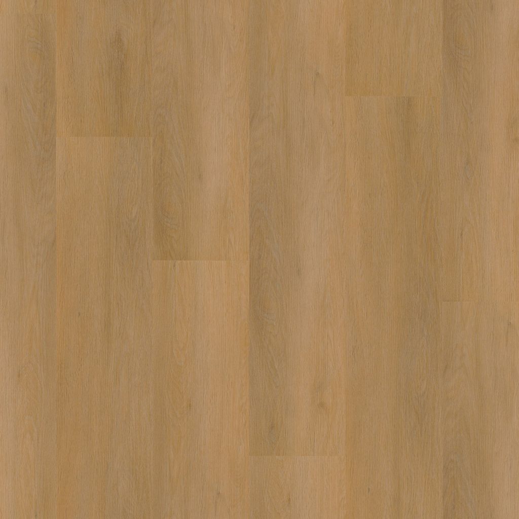6012841019_main_image.jpg
