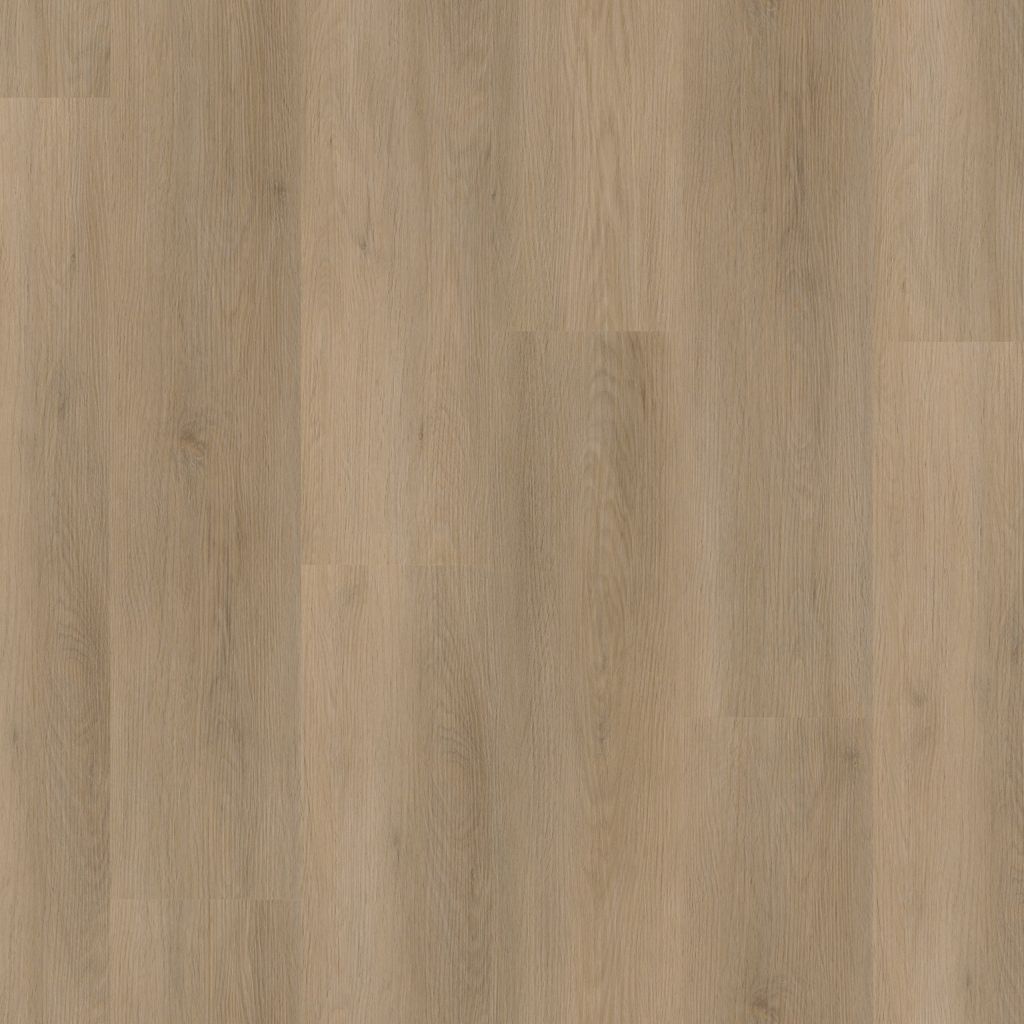Sentima click natural oak