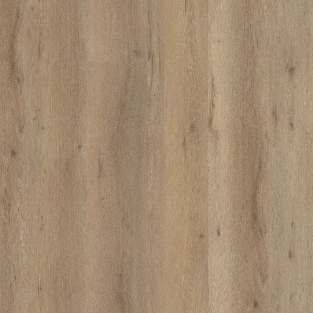6197282219_main_image.jpg