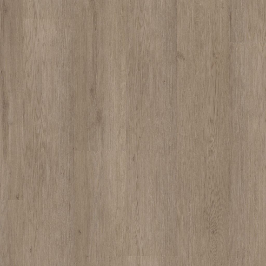 Venera dryback smoky