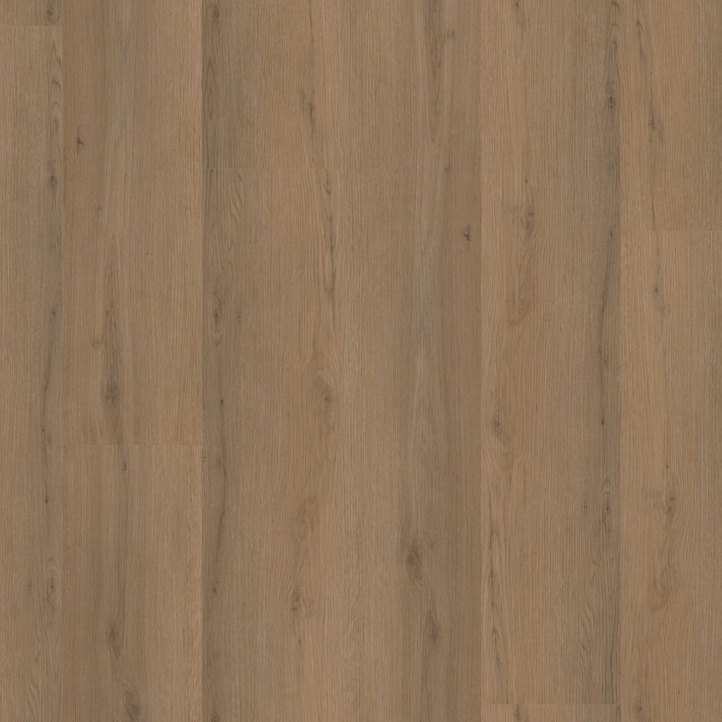 Venera dryback dark oak