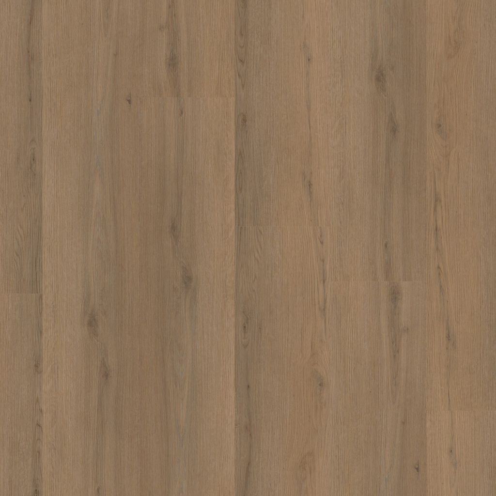 6312861119_main_image.jpg
