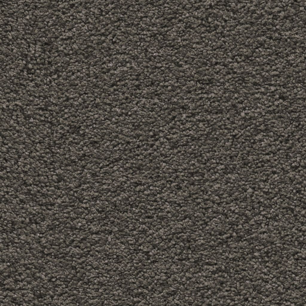 Magnifico donkergrijs 0101 | 400 cm