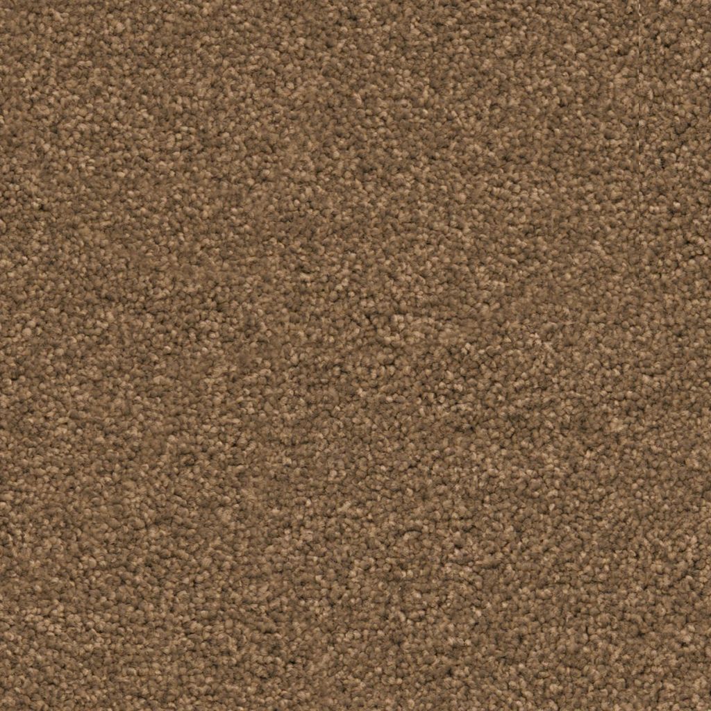 6335040543_main_image.jpg