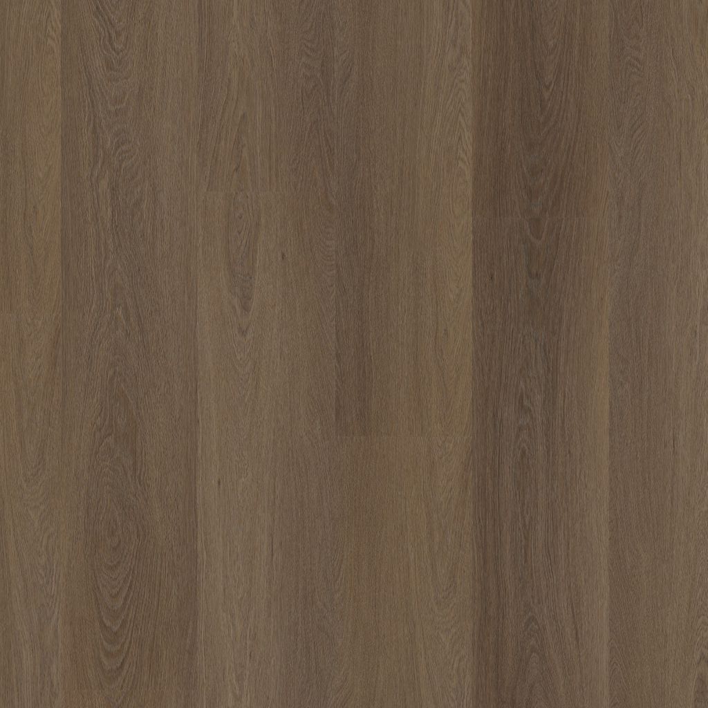 Estino dryback brown
