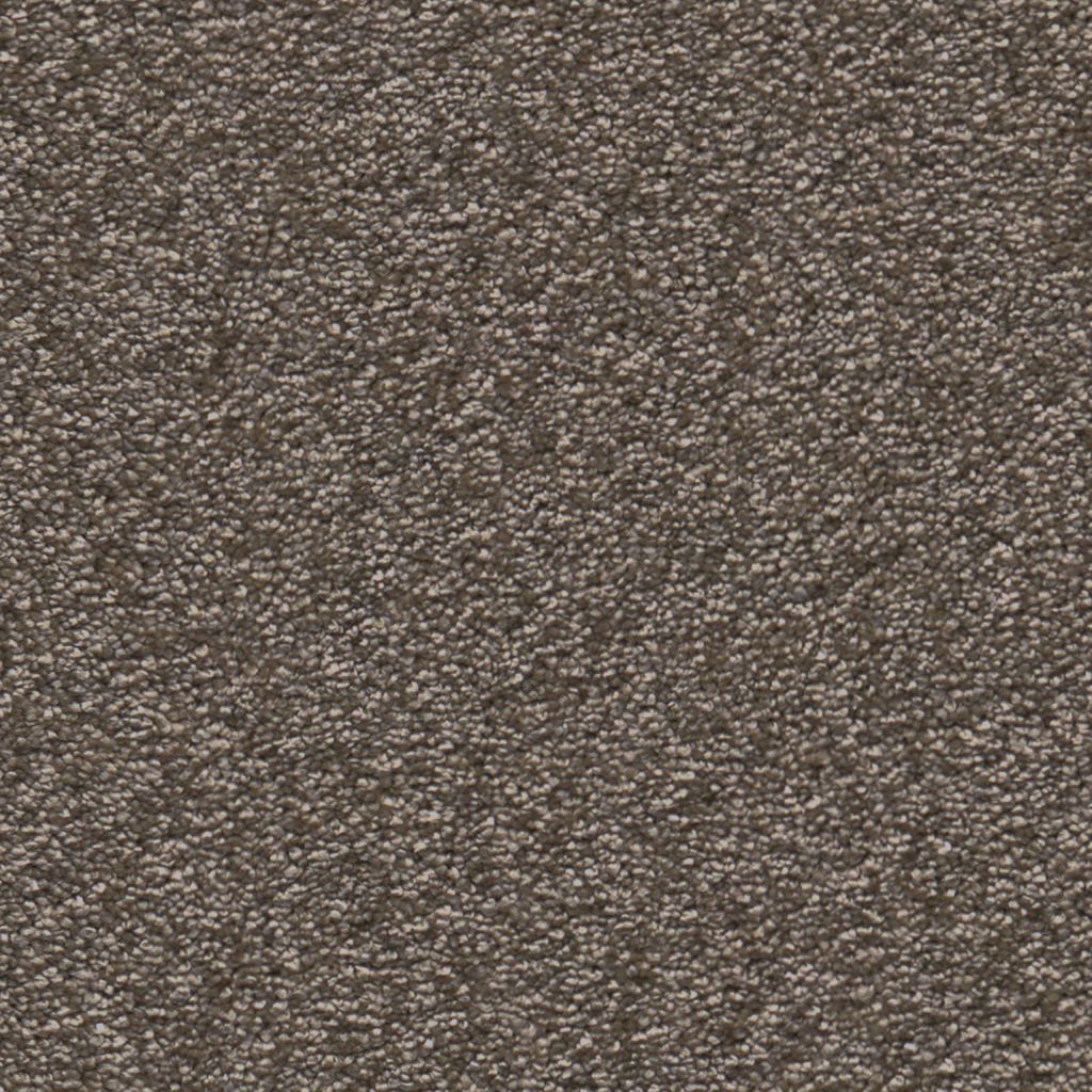 Columbus taupe 0535 | 400cm