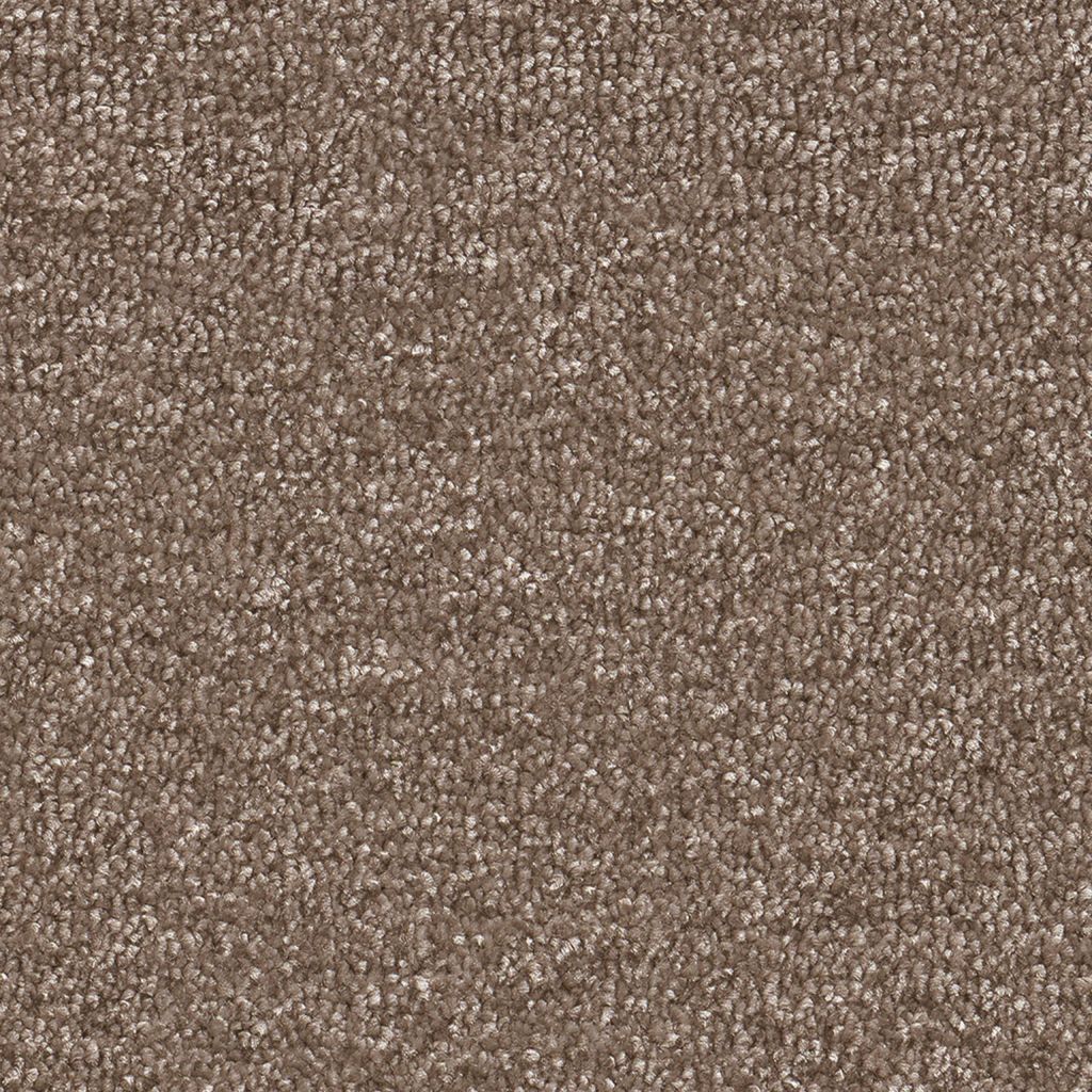 Nifty bruin 0600 | 400 cm