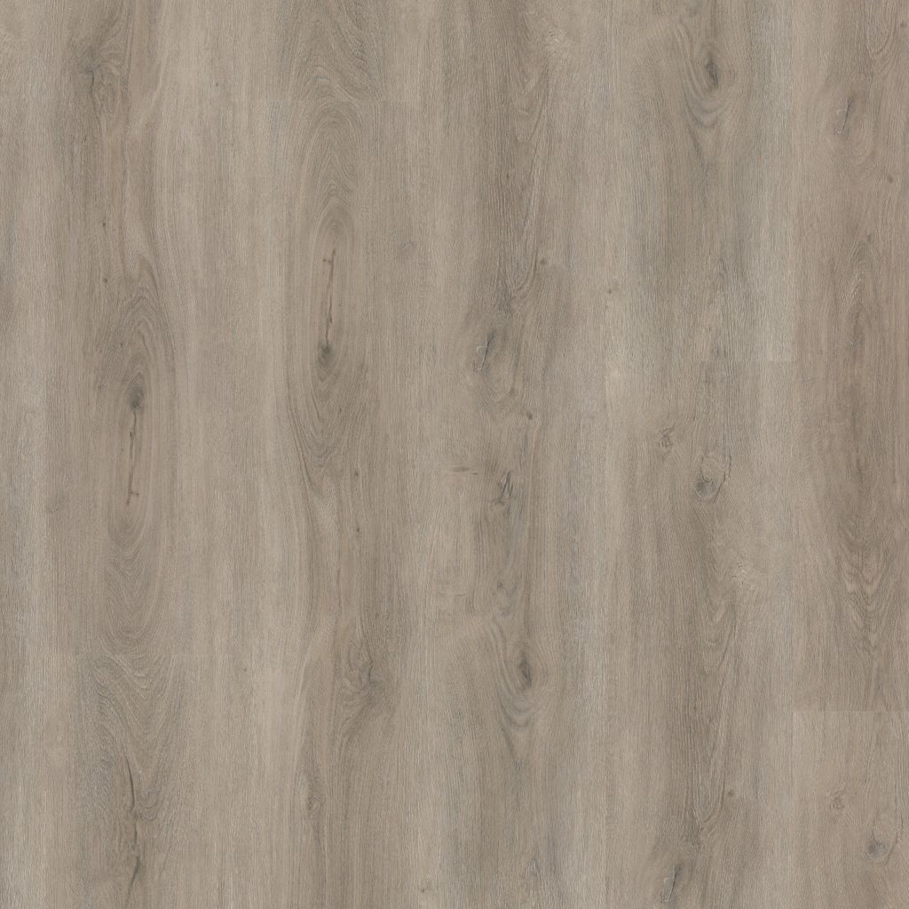Robusto dryback light grey