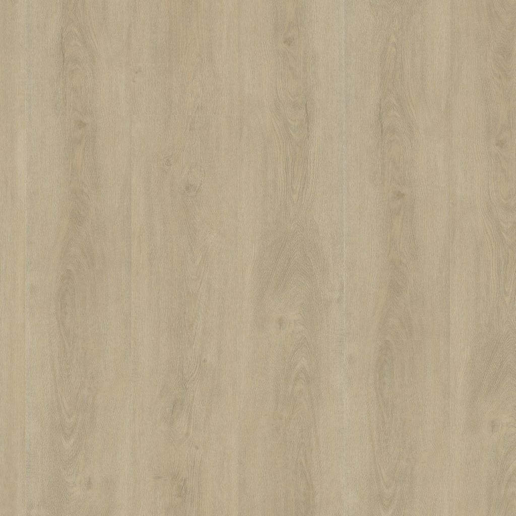Robusto dryback light natural