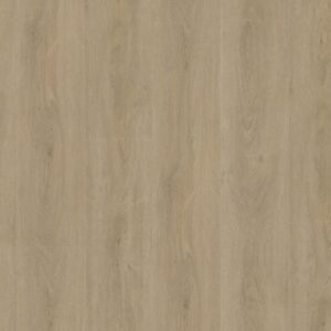 Robusto dryback beige