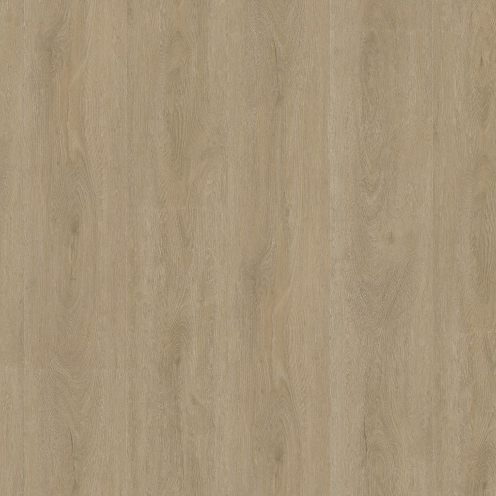 Robusto dryback beige