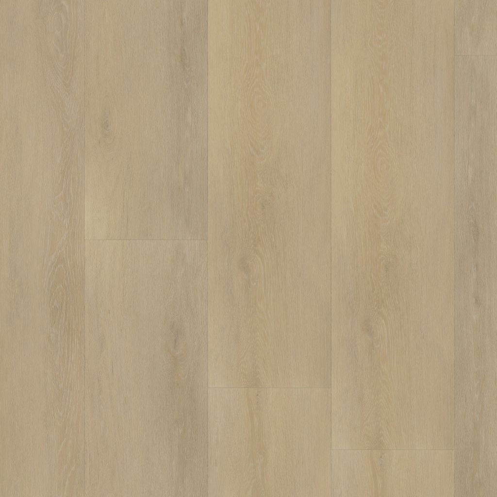 6200100119_main_image.jpg