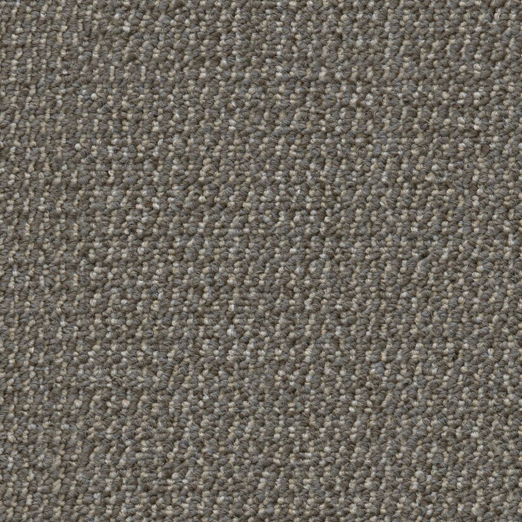 Odessa greige 0195 | 400cm