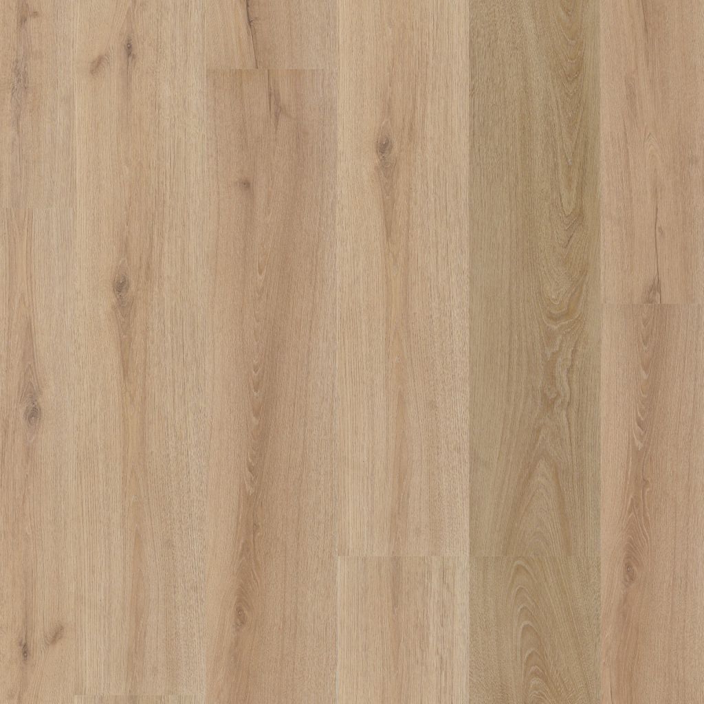 Valento dryback light brown