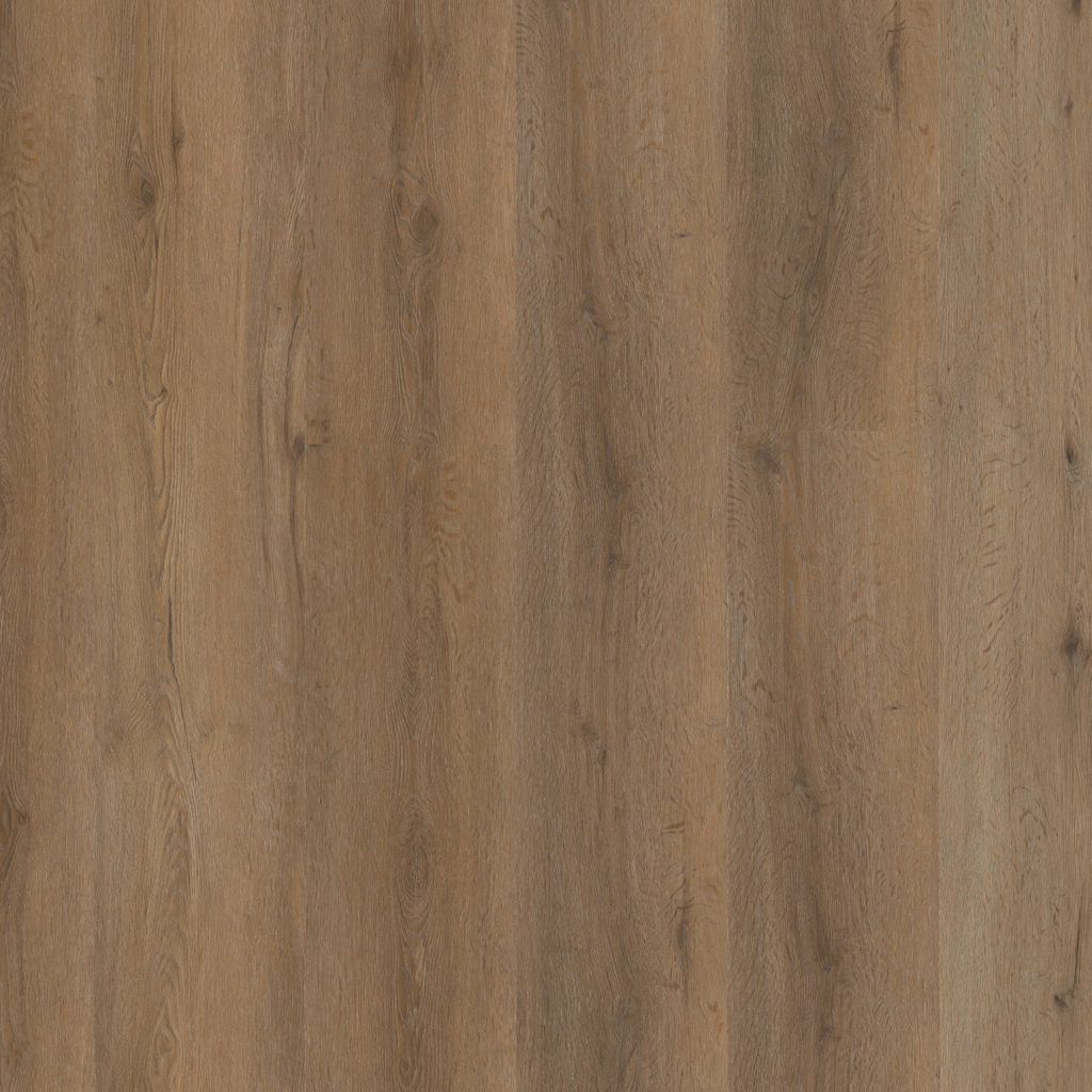 Vivero click SRC smoky