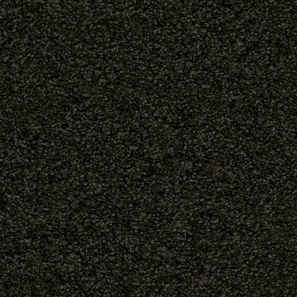 Minnesota zwartbruin 0255 | 400 cm