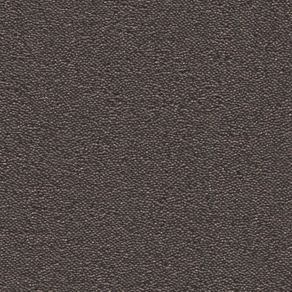 Charlotte donkergrijs 0101 | 400 cm