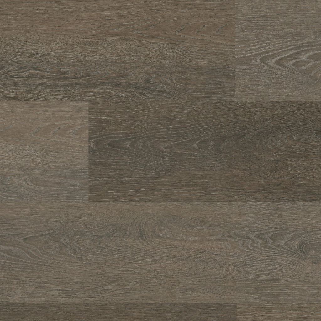 Viranto dryback brown